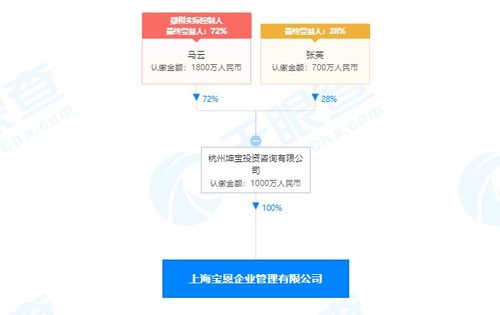 馬云旗下公司全資收購寶恩企業管理咨詢，深化商業版圖布局